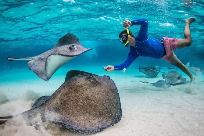 Snorkeling Gear Rental