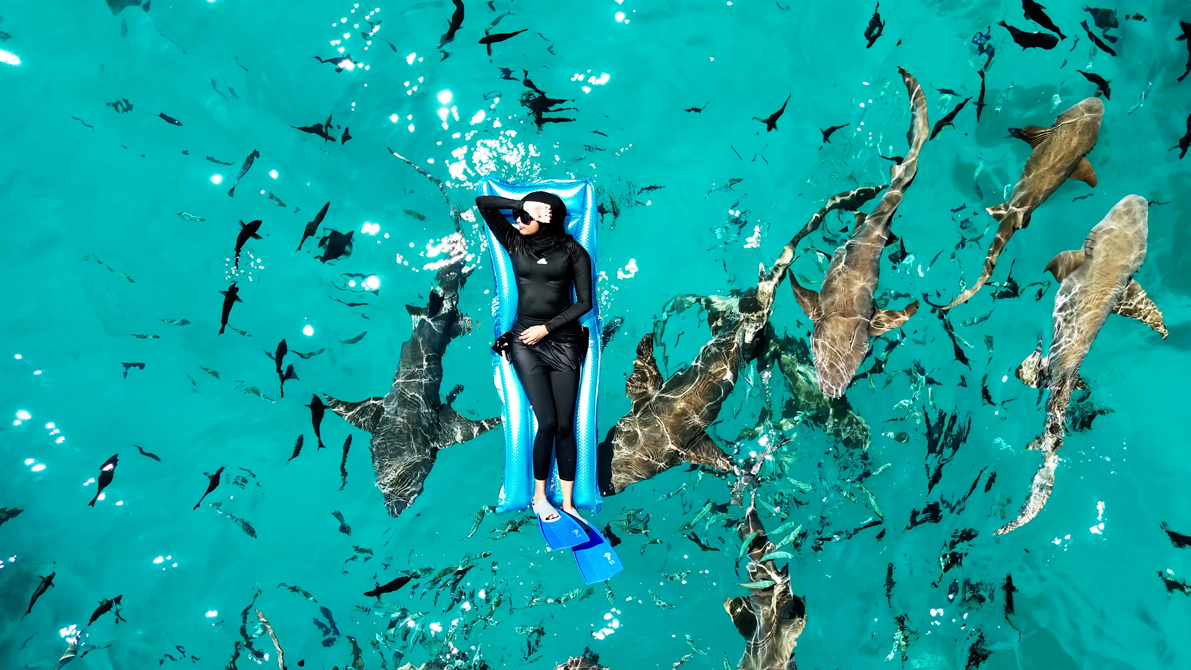 Snorkeling Trip to Shark Point, Himmafushi | Maldives
