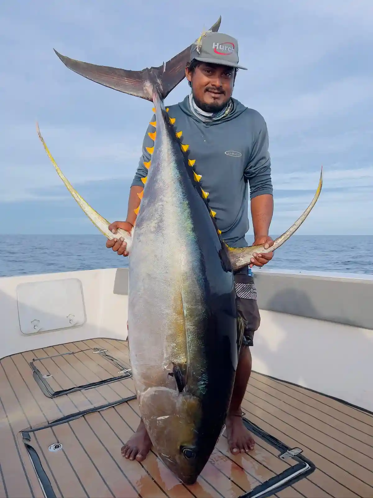 Yellowfin Tuna in the Maldives