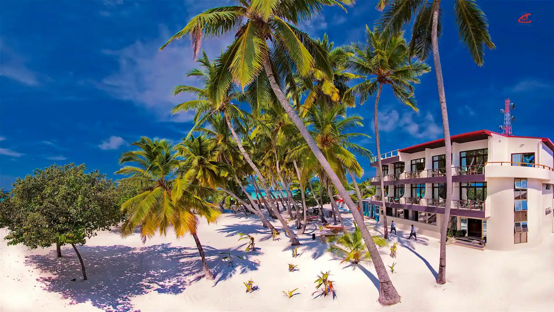 Affordable guesthouse room in Maldives