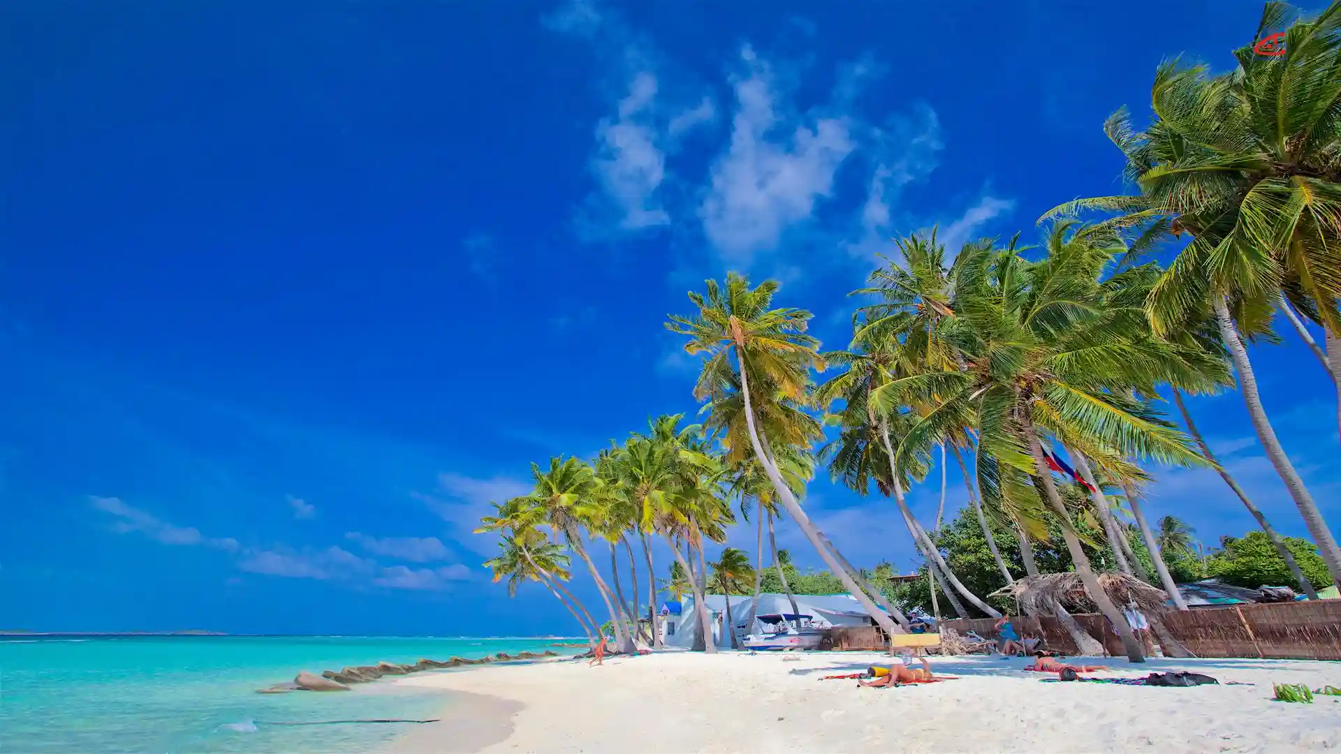 Affordable beach in Maldives local island
