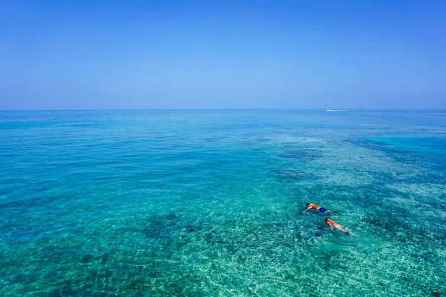 Maldives snorkeling