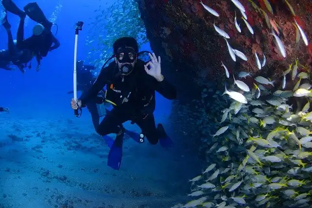 HP Reef dive site in Maldives