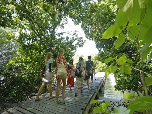 Local island in Maldives
