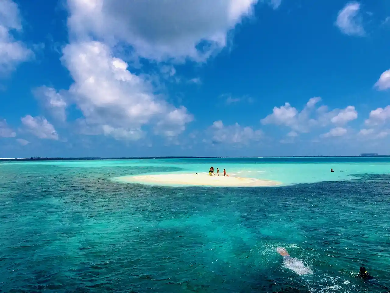 Sandbank Excursion