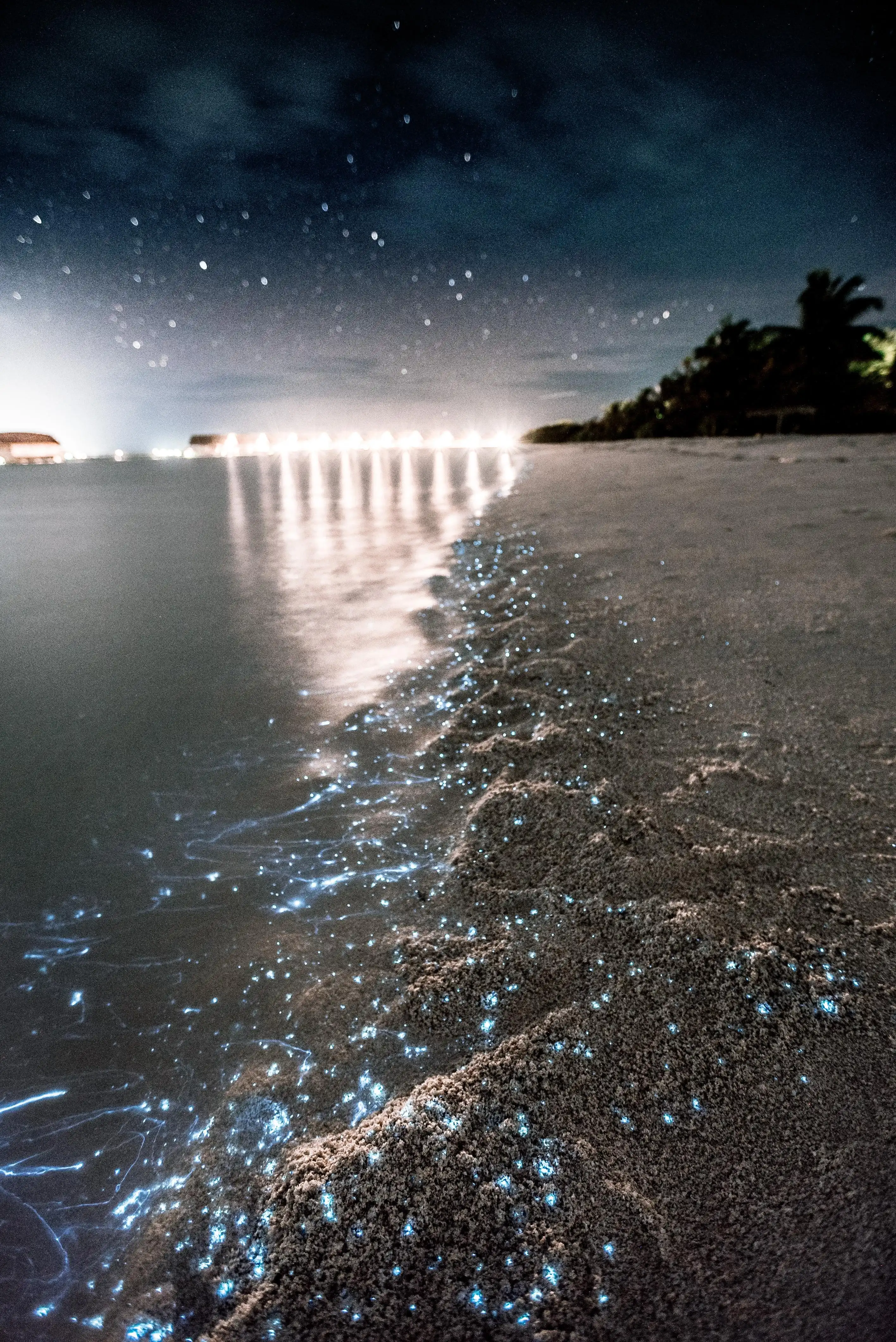 Bioluminescent beach in Maldives