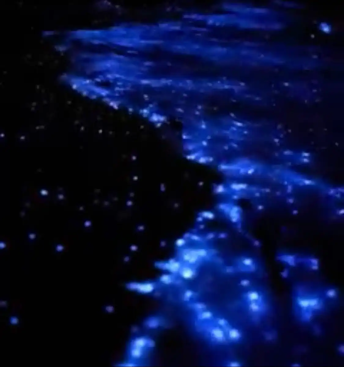 Glowing beach in Maldives