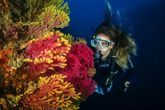 Banana Reef dive site in Maldives