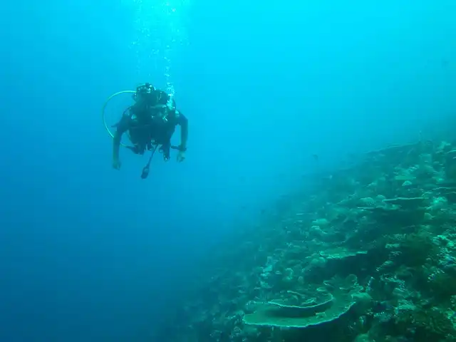 Fish Head dive site in Maldives