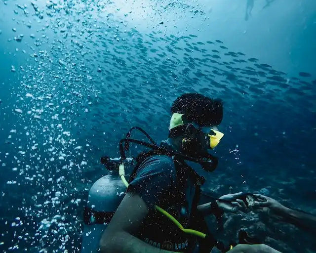 Scuba Diving In Maldives Raa Atoll