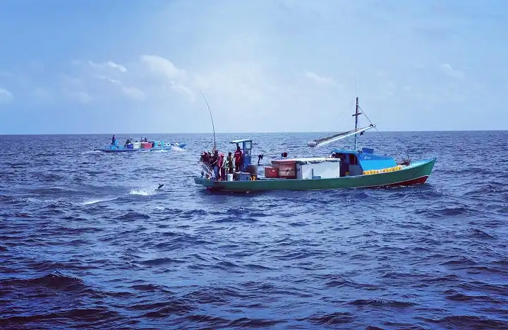 Traditional fishing in Maldives