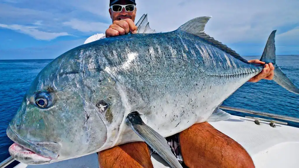Fishing in Maldives in October