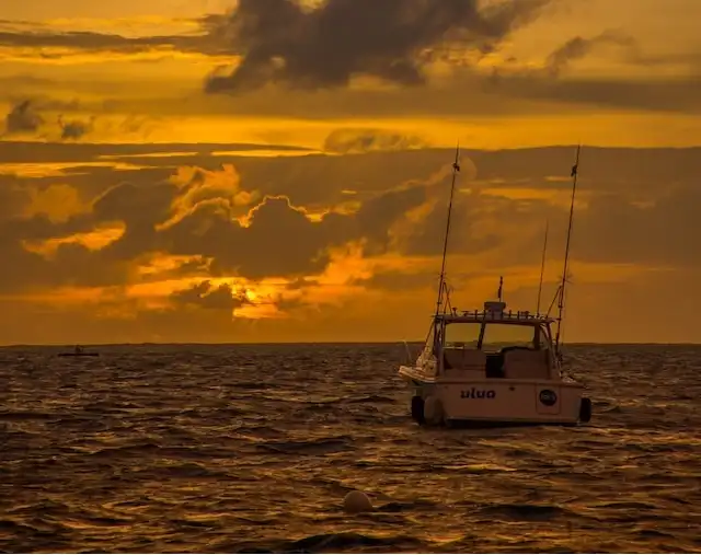 Fishing in Maldives in January