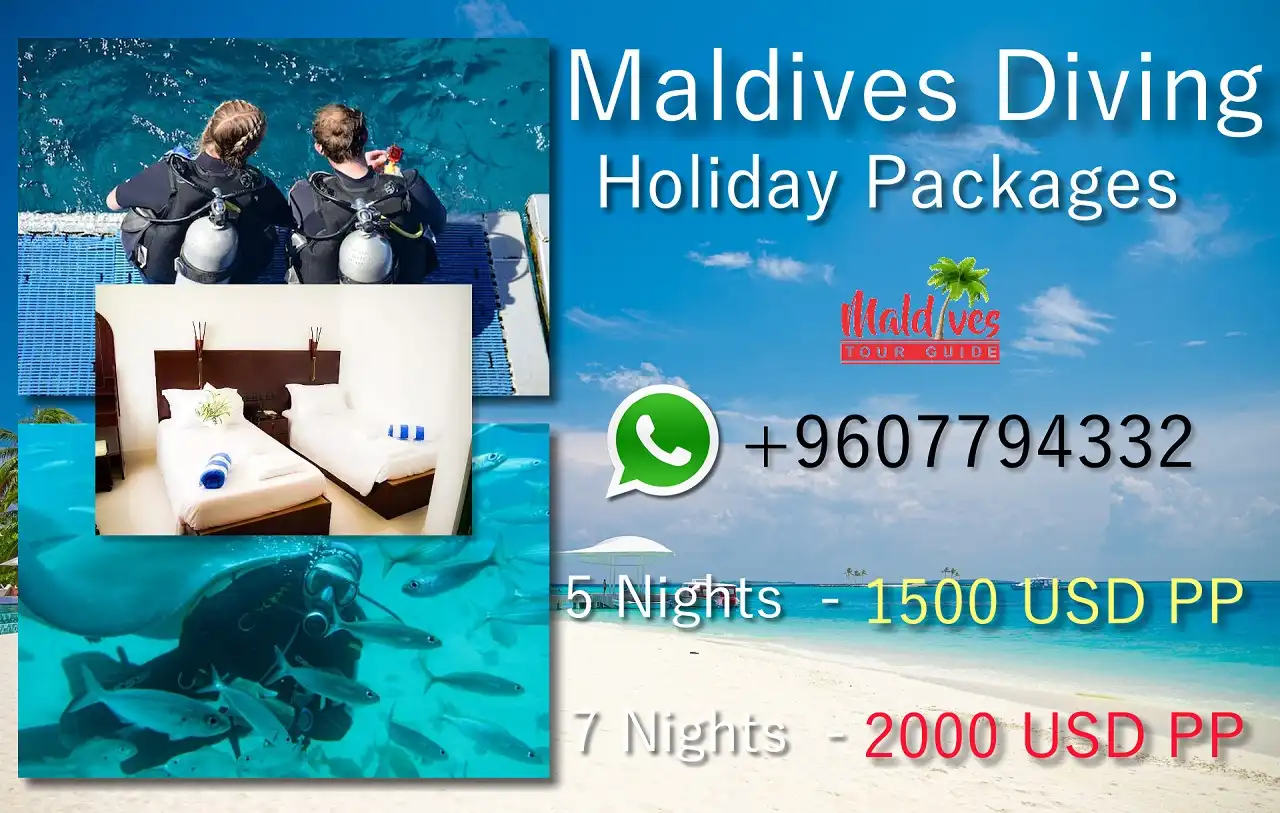 Maldives diving activities