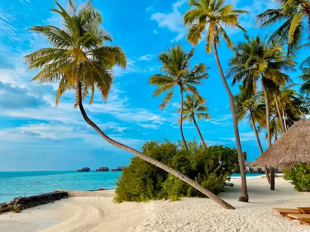 maldives surf resorts