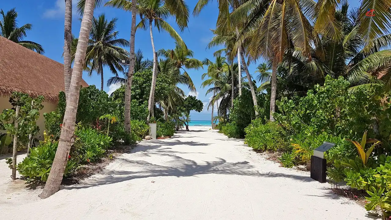 Cinnamon Velifushi Maldives Island Resort Beach