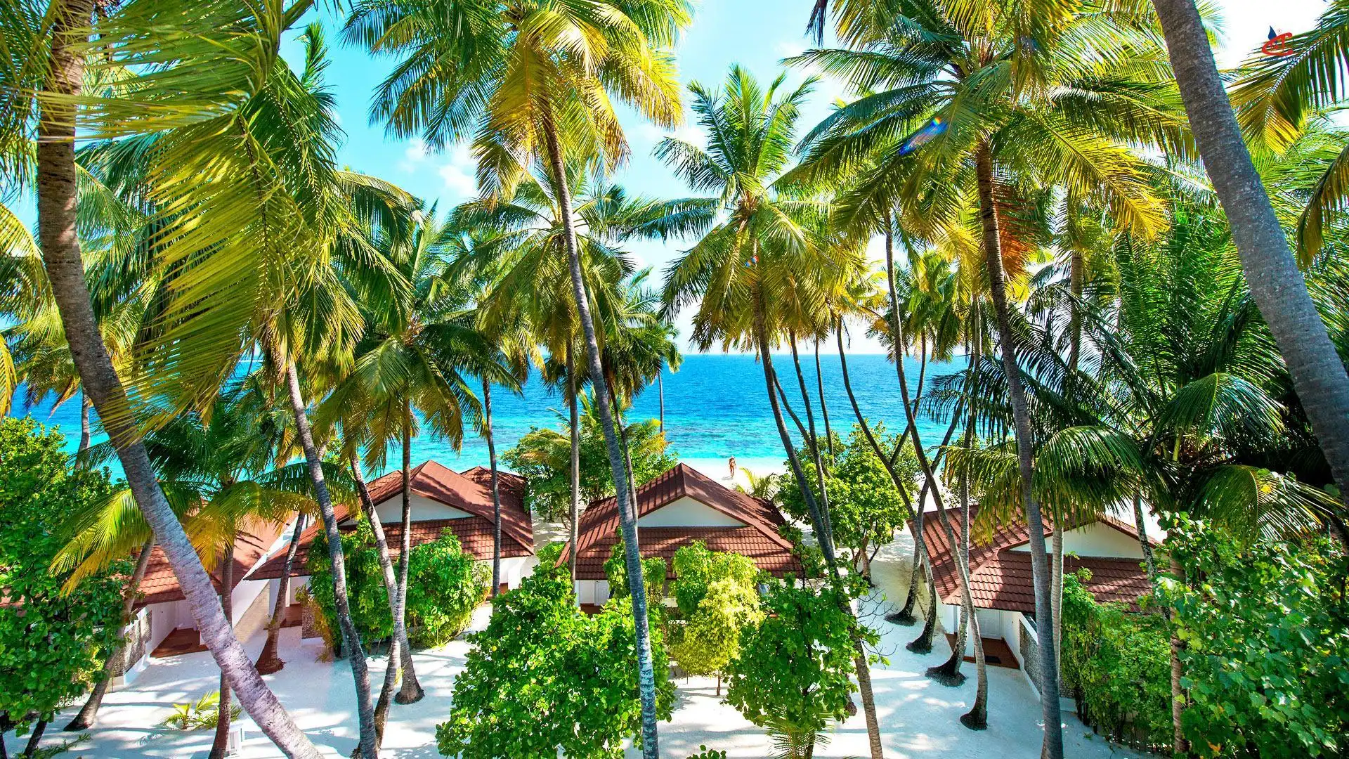 Diamonds Thudufushi Maldives Island Resort