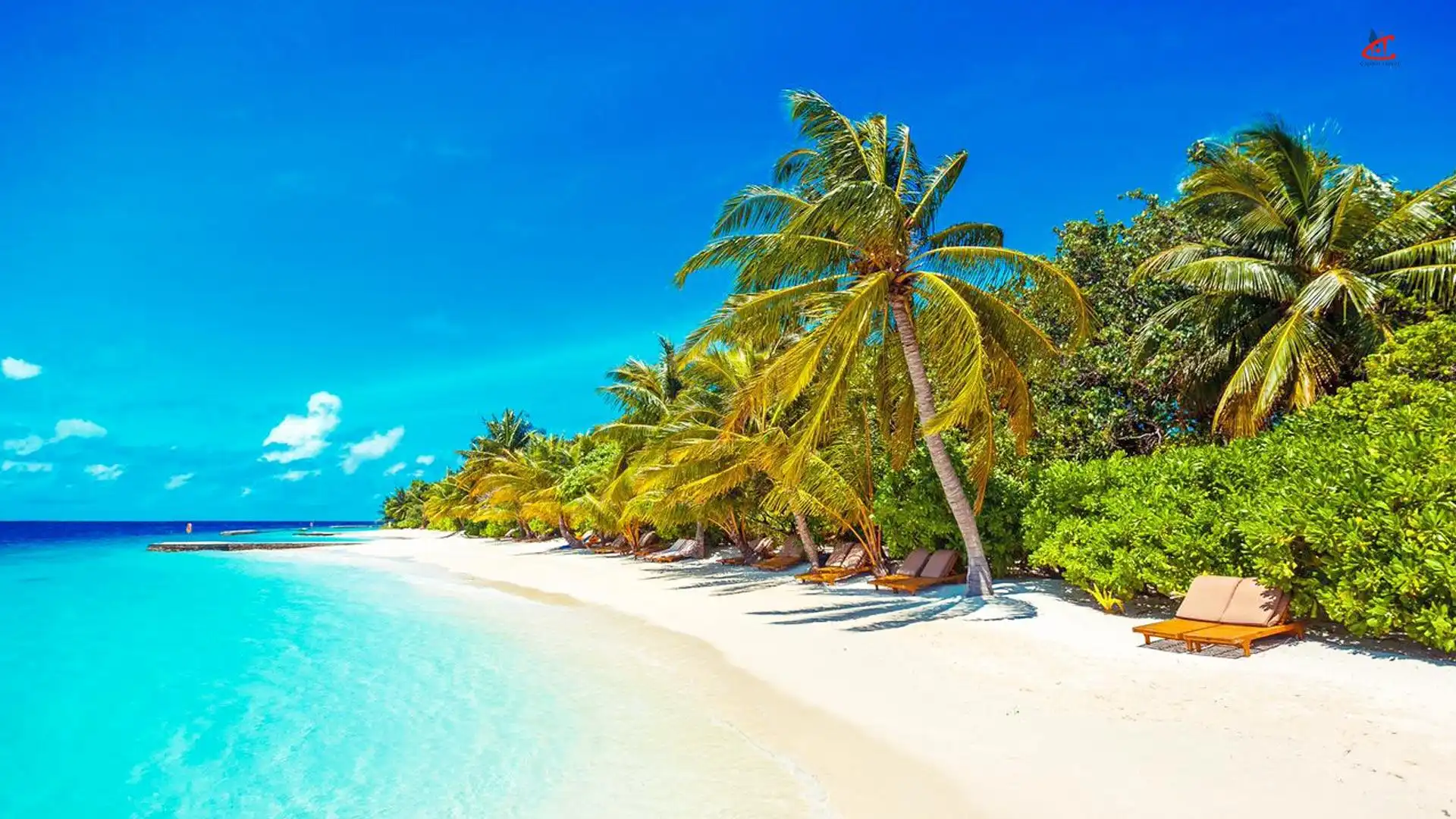 Lily Beach Resort and Spa Maldives Beach Villa