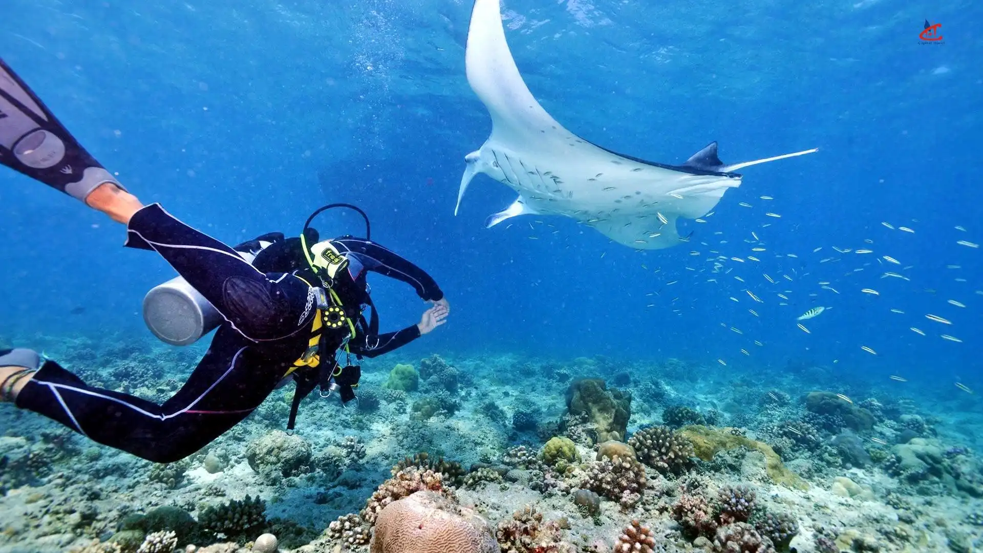 Makunudu Island Resort Maldives Diving