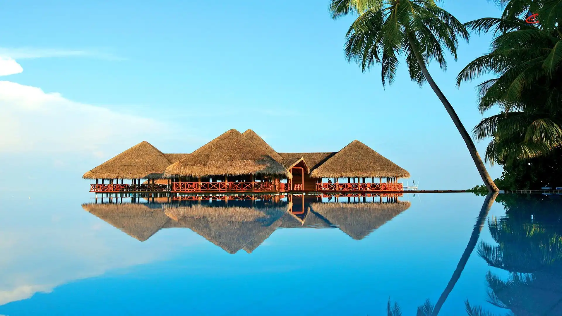 Medhufushi Island Resort Maldives Pool