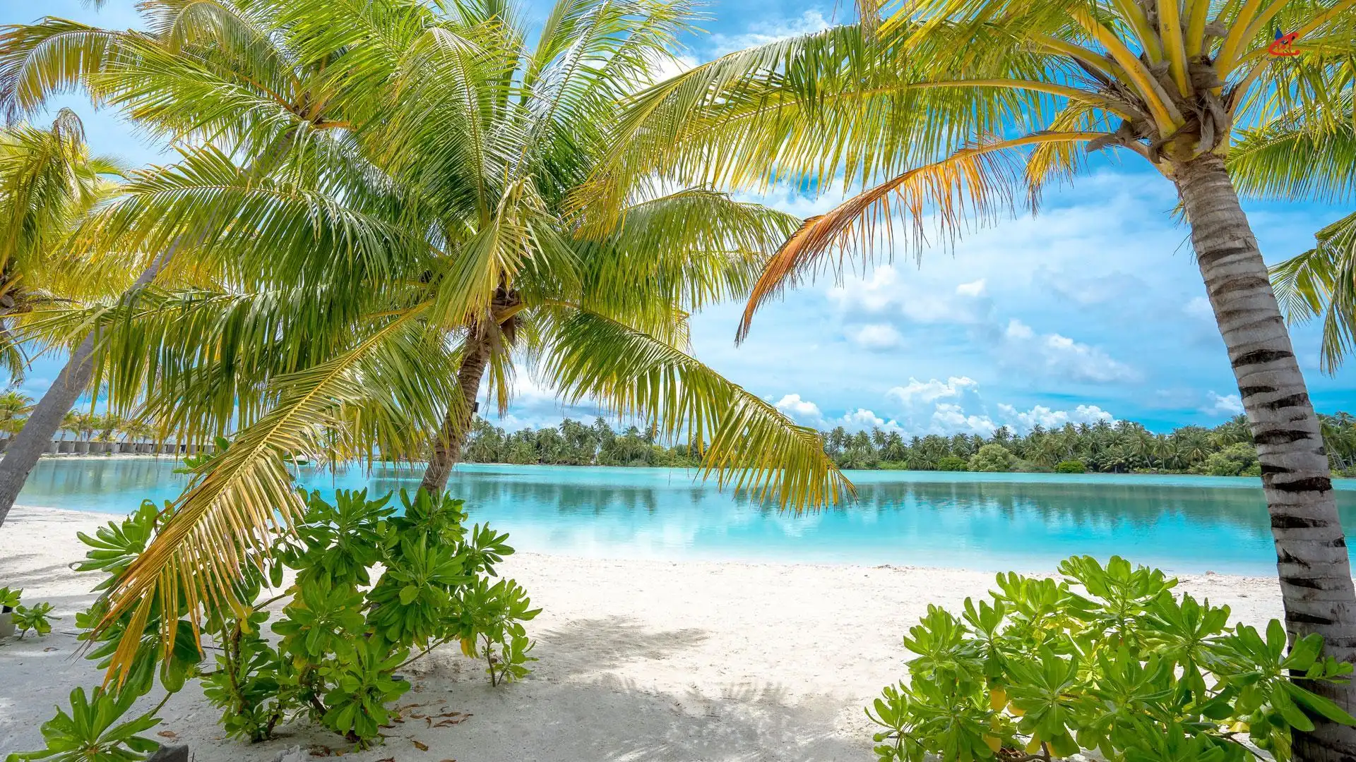 Rahaa Resort Maldives Beach
