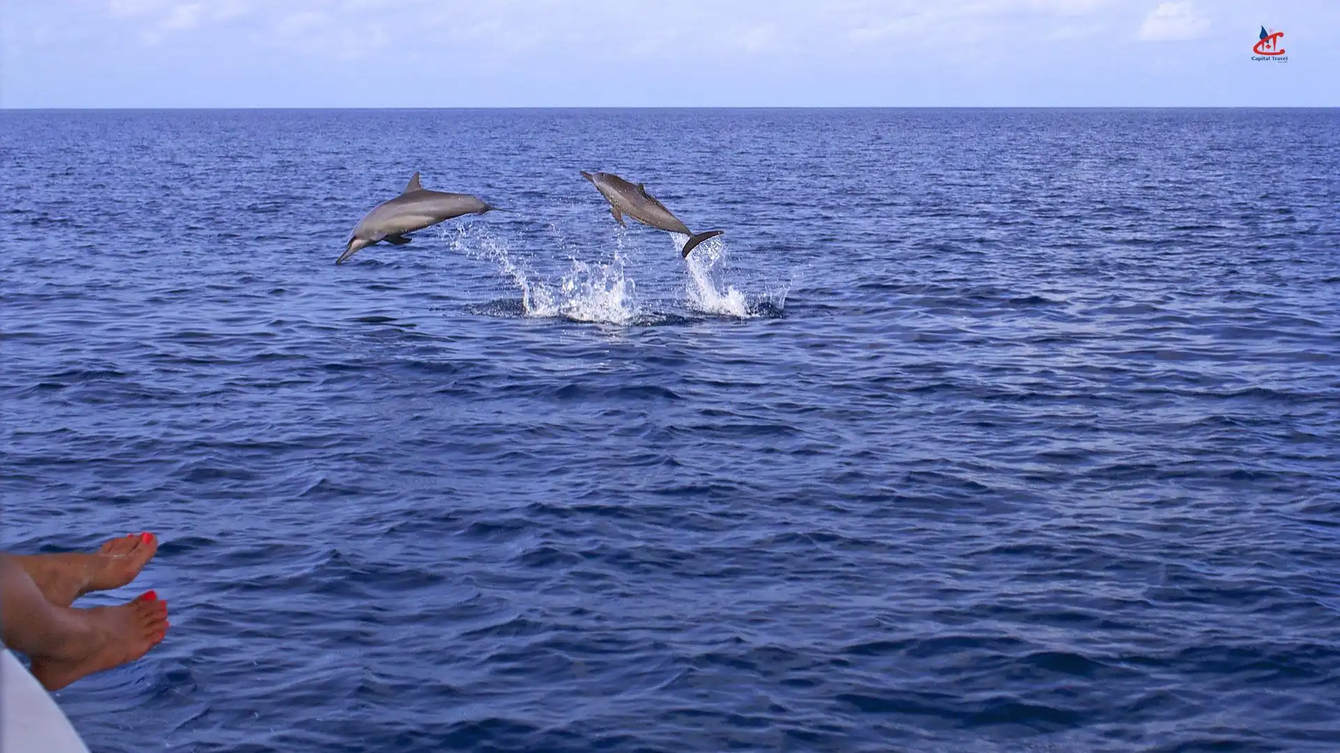 Six Senses Laamu excursions