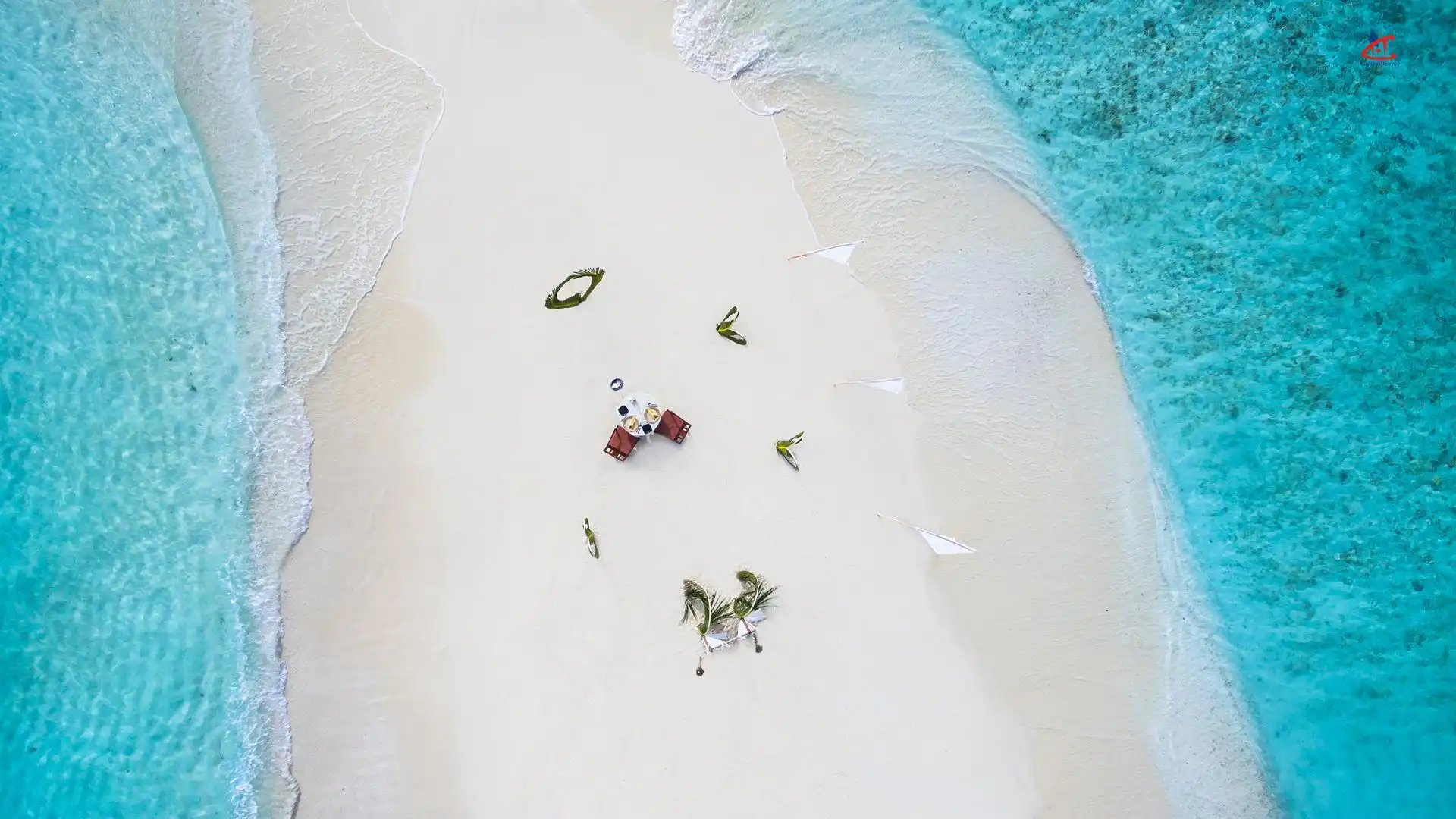 Taj Coral Reef Resort and Spa Beach