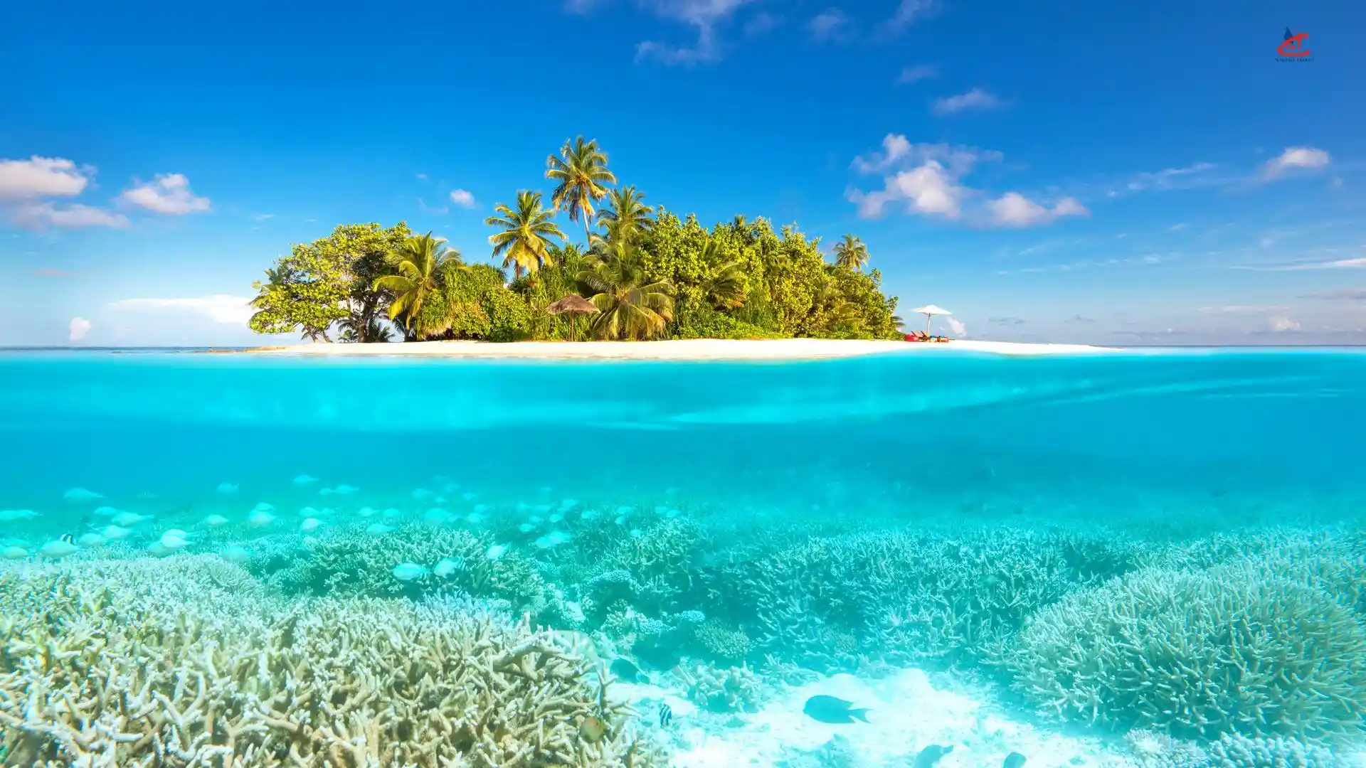 w maldives resort