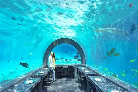 You and Me by Cocoon Maldives Underwater Restaurant Raa Atoll