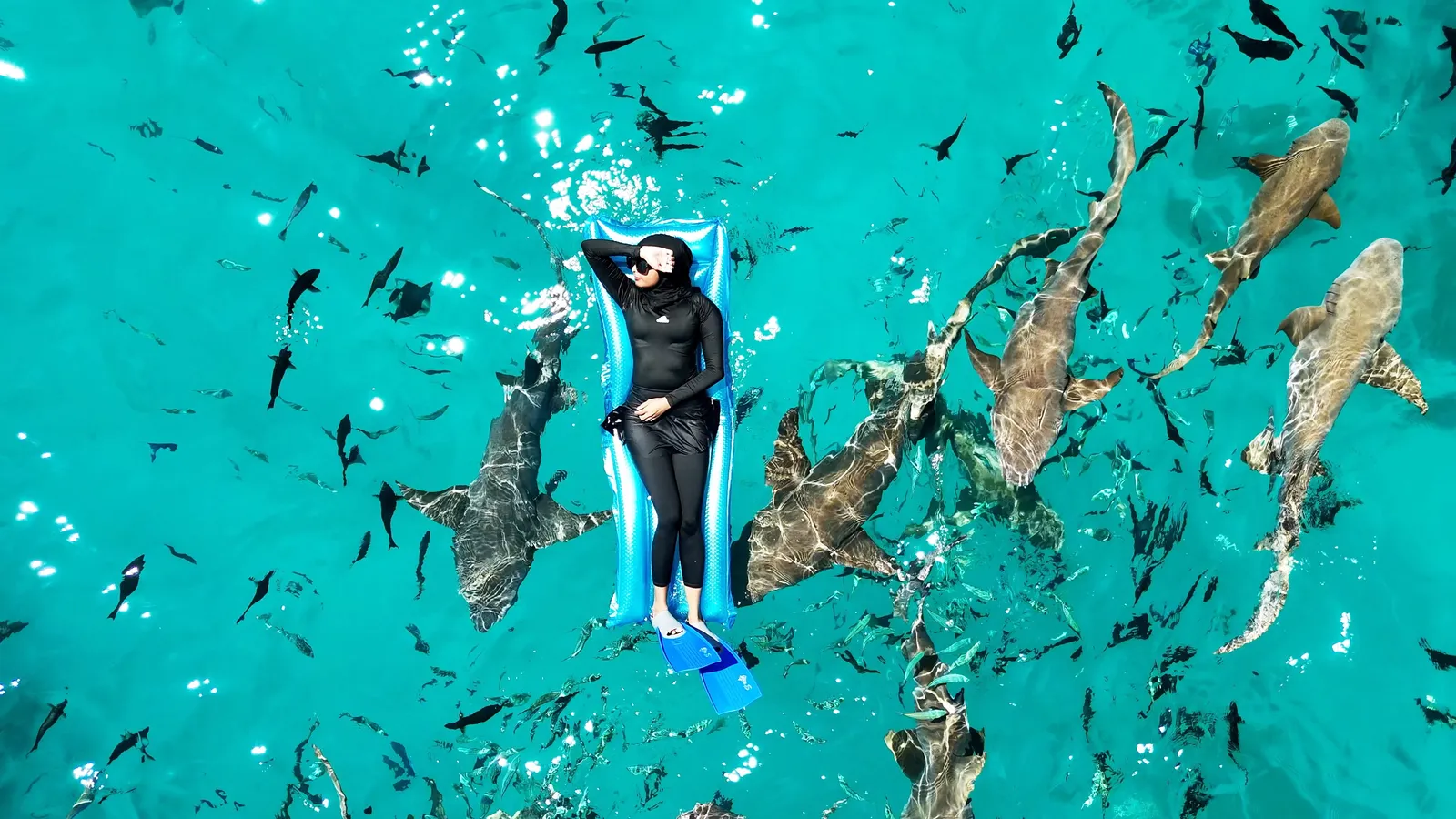 Snorkeling Trip to Shark Point, Himmafushi | Maldives