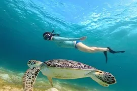 House reef beach in Maldives