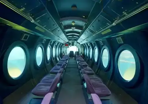 Whale Submarine Tour