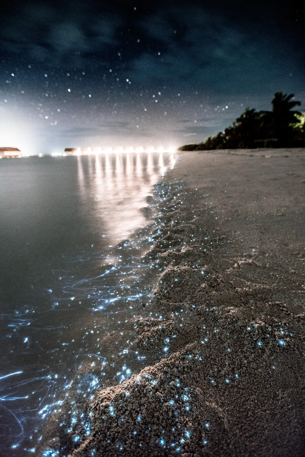 Bioluminescent beach in Maldives