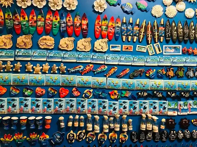 Explore Local Markets in Male