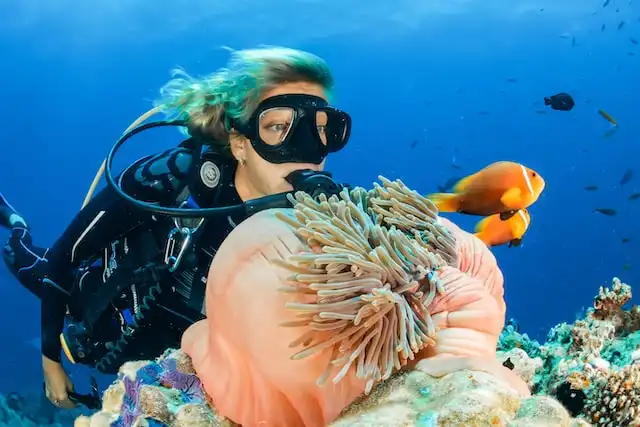 Maldives Dive Environment