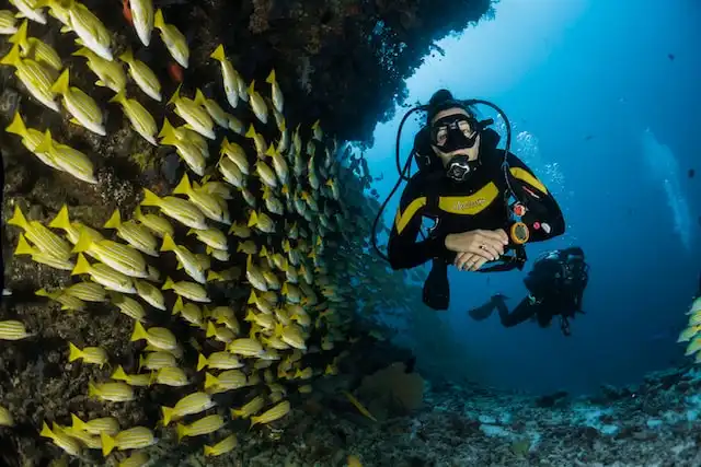 Male Atoll Nassimo Thila Maldives