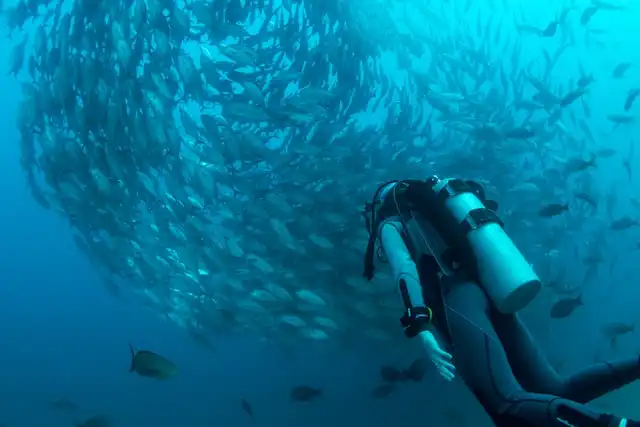 two fun dives in maldives