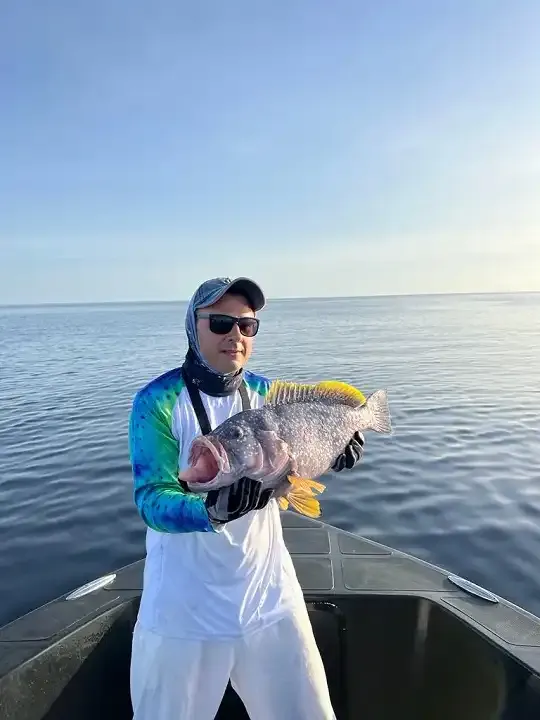 Groupers maldives