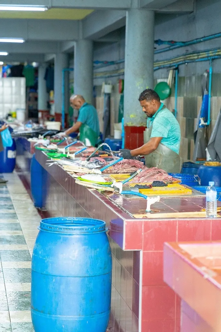 Visit the Maldives Fish Market