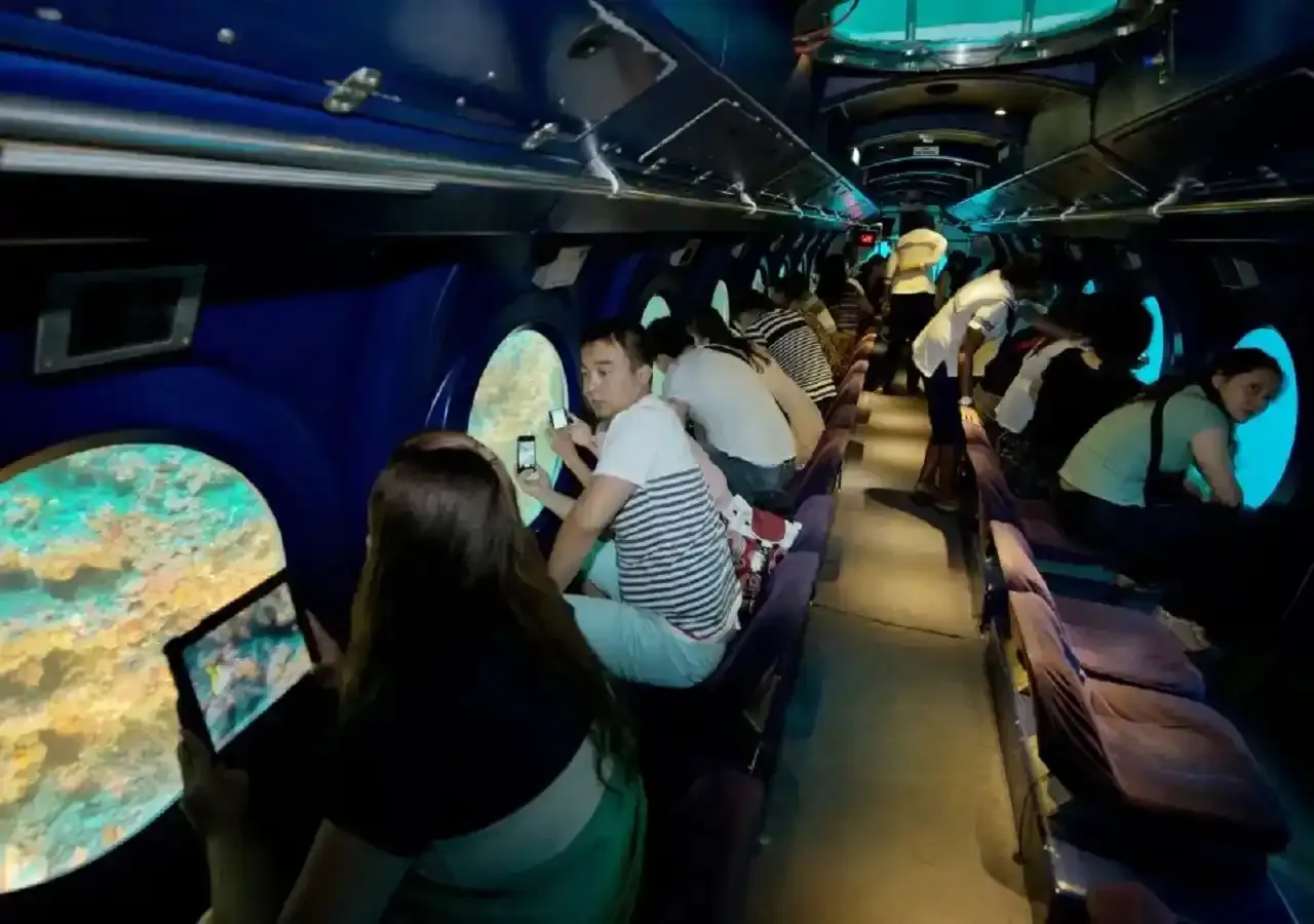 whale submarine excursion