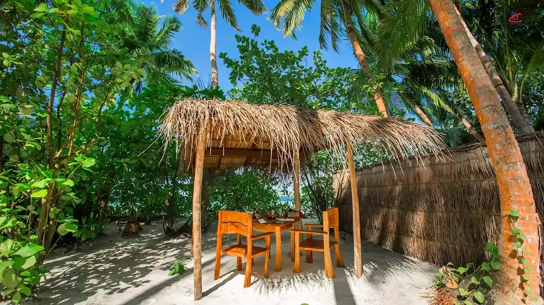 Aaaveee Natures Paradise beach villa