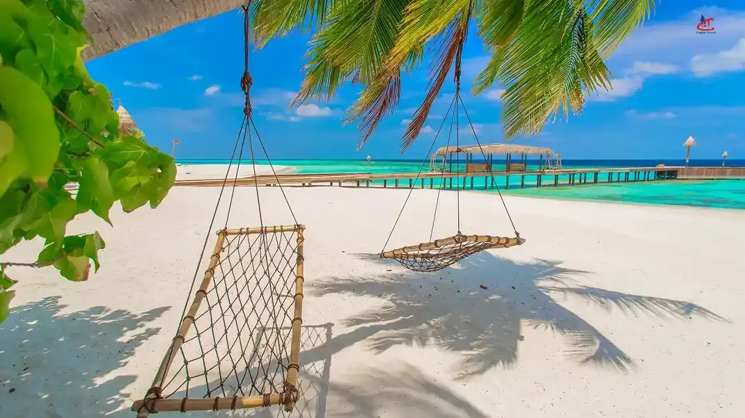 Aaaveee Natures Paradise Dhoores Maldives
