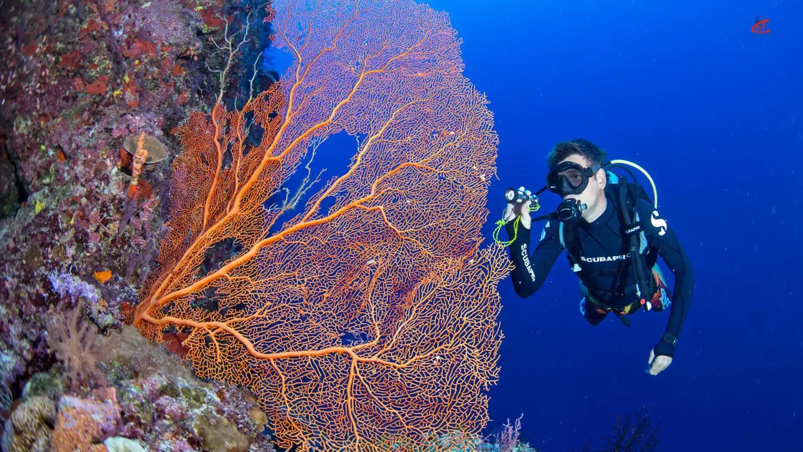Grand Park Kodhipparu Maldives Diving