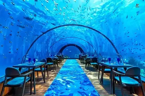 Hurawalhi Island Resort Maldives Underwater Restaurant Lhaviyani Atoll