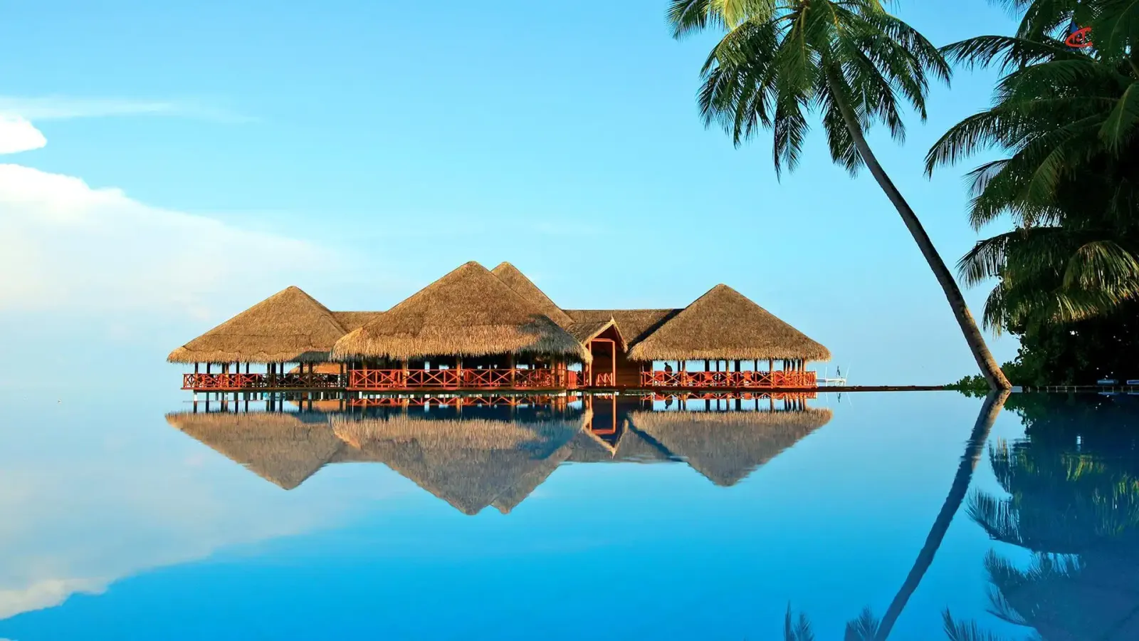 Medhufushi Island Resort Maldives Pool
