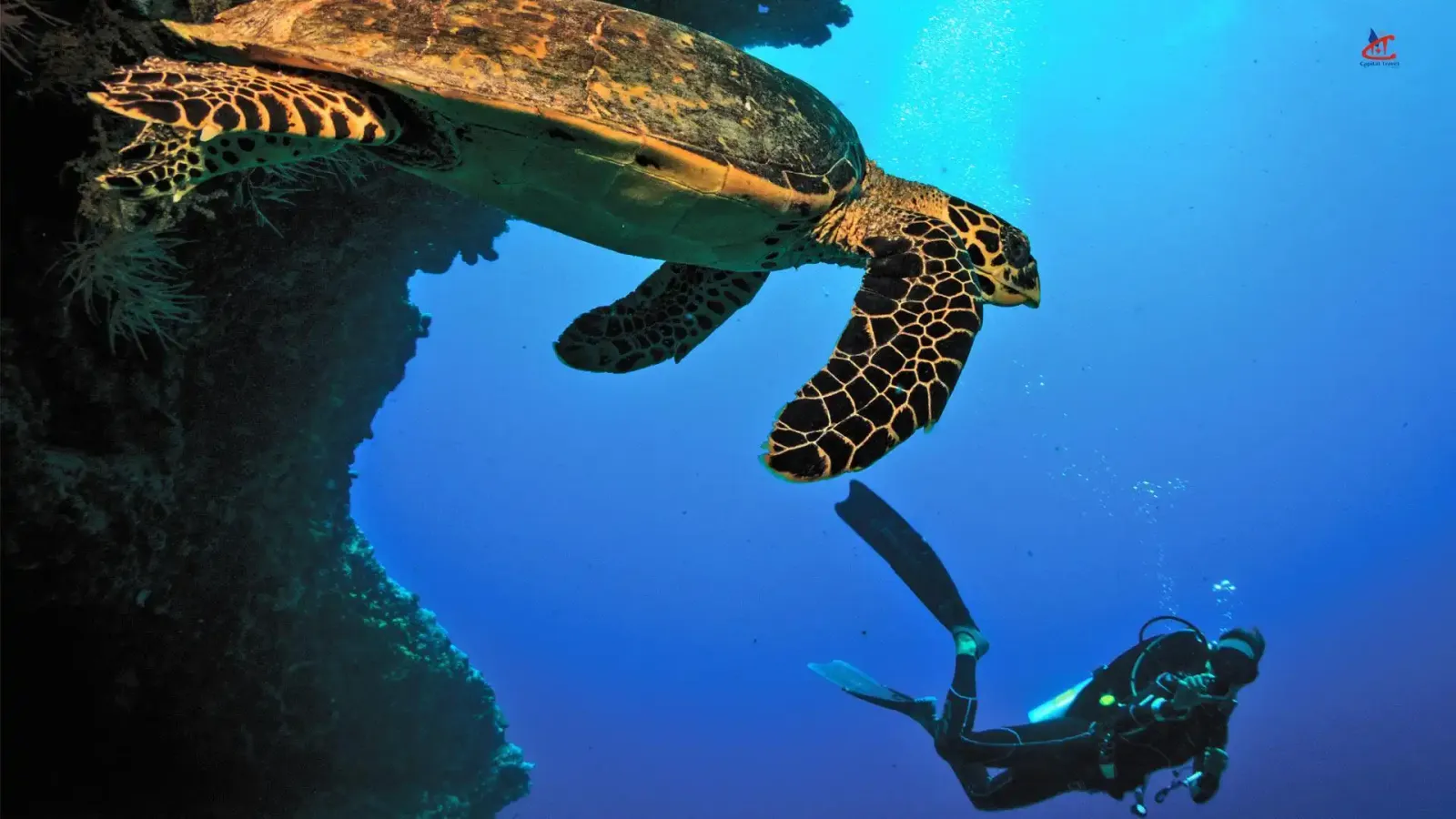 OBLU SELECT Sangeli Maldives Diving