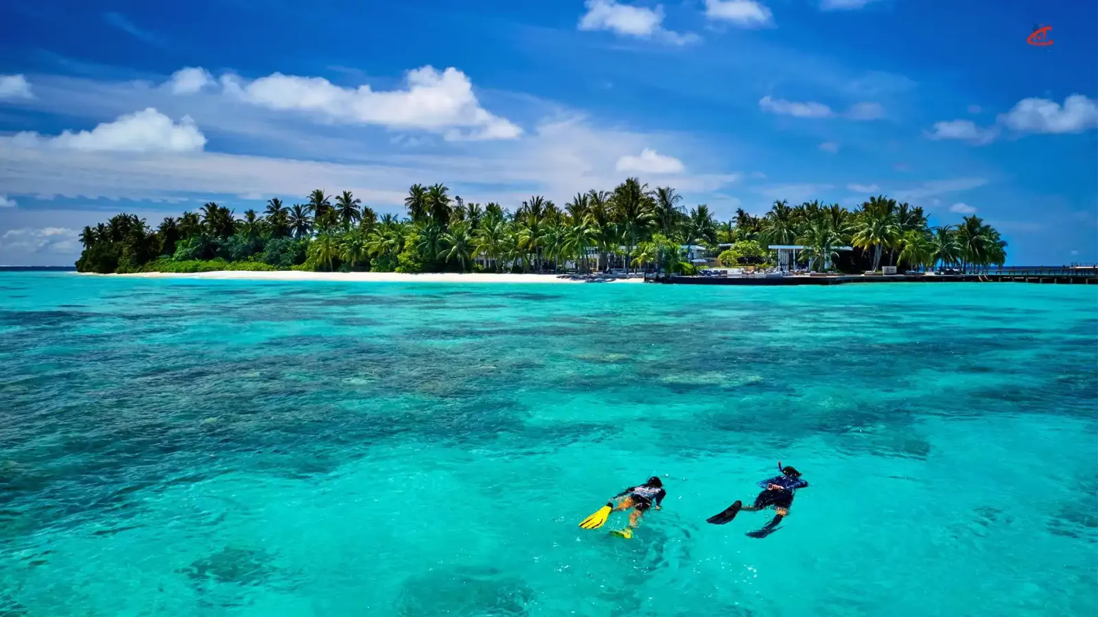 Raffles Maldives Meradhoo Resort Snorkeling