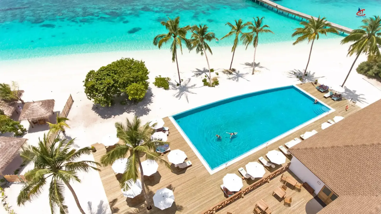 Reethi Faru Resort Pool