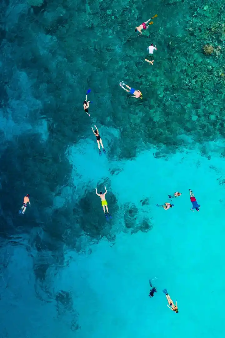 male atoll snorkeling - Maldives activities