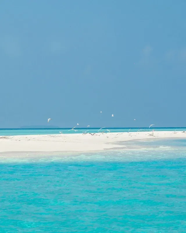 maldives sandbank - Maldives activities